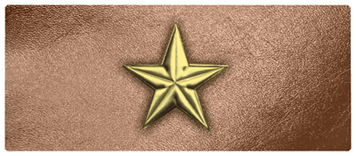 DNSEMP-L-430-GD-BZ Star Gold-Bronze